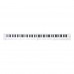 Blackstar Carry-on Folding 88 Tuşlu Taşınabilir & Katlanabilir Dijital Piyano (Beyaz)
