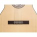 Cascha Student Series 4/4 Klasik Gitar Seti (Türkçe Metod, Taşıma Çantası, 3 Pena, Tuner)