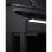 Casio AP-710 Celviano Dijital Piyano (Mat Siyah)
