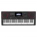 Casio CT-X5000 61 Tuşlu Org