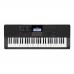 Casio CT-X700 61 Tuşlu Org