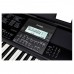 Casio CT-X800 61 Tuşlu Org