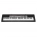 Casio CTK-1550 61 Tuşlu Org