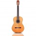 Cordoba C12-CD Klasik Gitar