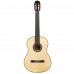 Cordoba C12 SP Klasik Gitar