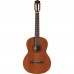 Cordoba C5 Klasik Gitar