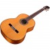 Cordoba C9 CD Klasik Gitar