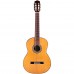 Cordoba C9 CD Klasik Gitar