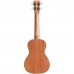 Cordoba Concert Ukulele Player Pack (Natural)