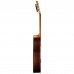 Cordoba Friederich CD PF Klasik Gitar (Natural)