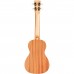 Cordoba Protégé U1C Concert Ukulele