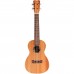 Cordoba Protégé U1C Concert Ukulele