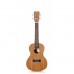 Cordoba UP100 Concert Ukulele Seti