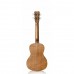 Cordoba UP100 Concert Ukulele Seti