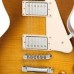 Epiphone Les Paul Plus Top Pro Elektro Gitar (Honey Burst)