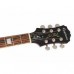 Epiphone Les Paul Standart Plus Top Pro Elektro Gitar (Wine Red)