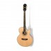 Epiphone Performer PR-5E - Fishman Presys-II Elektro Akustik Gitar (Natural)