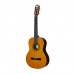 Epiphone PRO-1 Classic 2.0 Klasik Gitar (Natural)