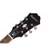 Epiphone Riviera Frequensator Tailpiece Elektro Gitar (Royal Tan)