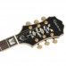 Epiphone Sheraton II Pro Elektro Gitar (Vintage Sunburst)