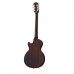 Epiphone Slash Les Paul Standard Elektro Gitar (Anaconda Burst)