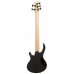 Epiphone Toby Deluxe V Bas Gitar (Ebony)
