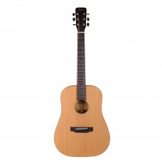 Fenix FW-1NS Akustik Gitar (Natural)