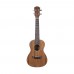 Fenix PS-HTM-100 Concert Ukulele