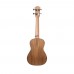 Fenix PS-HTM-100 Concert Ukulele