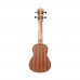 Fenix PS-SKT-10-21H/SN Soprano Ukulele (Snoopy)