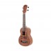 Fenix PS-SKT10-21Y/RB Concert Ukulele (Rabbit)