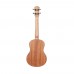 Fenix PS-YMD300 Tenor Ukulele