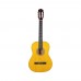 Fenix PSAG-10/YW Klasik Gitar (Sarı)