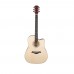 Fenix PSAG-13/NT Akustik Gitar (Natural)