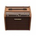 Fishman Loudbox Mini Charge Akustik Gitar Amfi