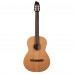 Godin Etude Klasik Gitar (Natural)