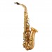 John Packer JP045G Alto Saksafon (Eb)