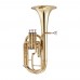 John Packer JP172L Lacquer Tenor Horn Eb
