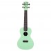 Kala Ka-CWB-GN Waterman Concert Ukulele (Mat Yeşil)