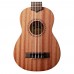 Kala Learn To Play Ukulele Başlangıç Seti