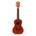 Kala Maun EQ Concert Ukulele