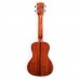 Kala SCG Concert Ukulele