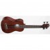 Kala U-Bass Maun Akustik Mini Bas Gitar