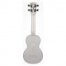Makala Waterman Composite Soprano (Şeffaf)