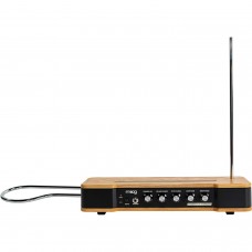 Moog Etherwave Analog Theremin
