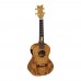 Ortega LIZARD-TE-GB Elektro Tenor Ukulele (Lizard)