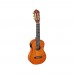 Ortega RGLE18FMH Guitarlele (Natural)