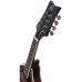 Ortega RMAE30-WB A-Style 8-Telli Elektro Mandolin (Whiskey Burst Satin)