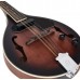 Ortega RMAE30-WB A-Style 8-Telli Elektro Mandolin (Whiskey Burst Satin)
