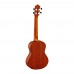 Ortega RU5-TE Tenor Ukulele (Natural)